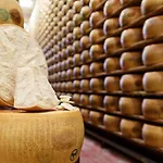 Lambrusco Monolocale Vicino Al Centro Di Universita E Policlinico Apartmán