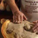 דירה Lambrusco Monolocale Vicino Al Centro Di Universita E Policlinico