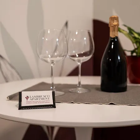 公寓 Lambrusco Monolocale Vicino Al Centro Di Universita E Policlinico 摩德纳