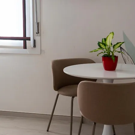 Lambrusco Monolocale Vicino Al Centro Di Universita E Policlinico 公寓 *