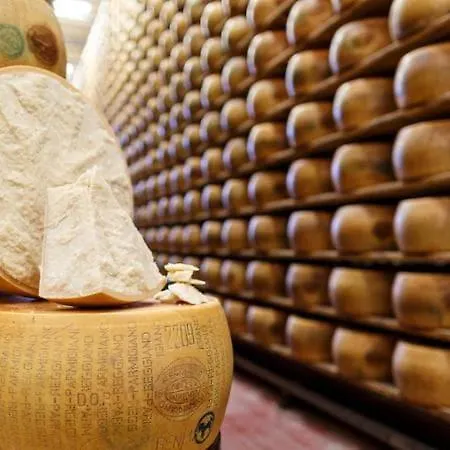 Lambrusco Monolocale Vicino Al Centro Di Universita E Policlinico 아파트