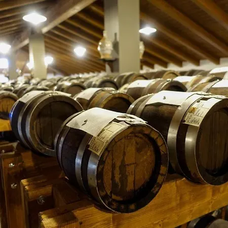 Lambrusco Monolocale Vicino Al Centro Di Universita E Policlinico * 摩德纳