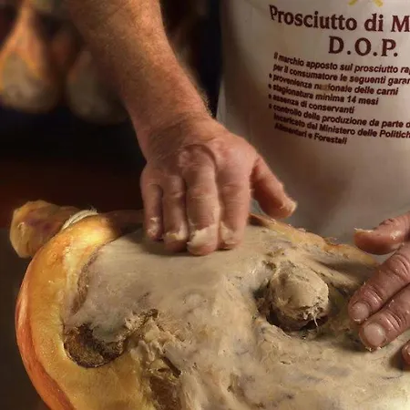 公寓 Lambrusco Monolocale Vicino Al Centro Di Universita E Policlinico