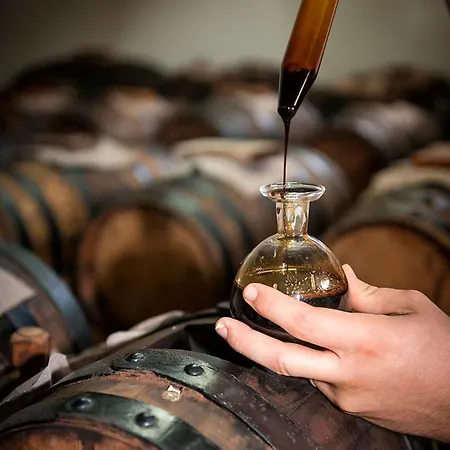 Lambrusco Monolocale Vicino Al Centro Di Universita E Policlinico 公寓 摩德纳