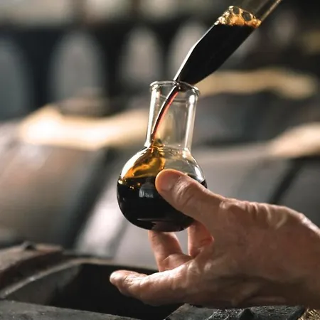 公寓 Lambrusco Monolocale Vicino Al Centro Di Universita E Policlinico *