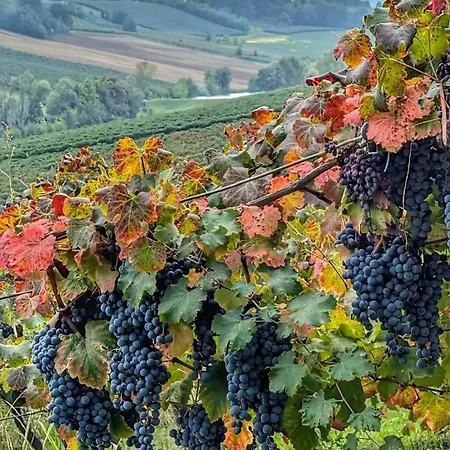 Lambrusco Monolocale Vicino Al Centro Di Universita E Policlinico *