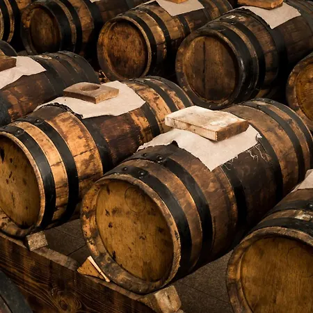 公寓 Lambrusco Monolocale Vicino Al Centro Di Universita E Policlinico