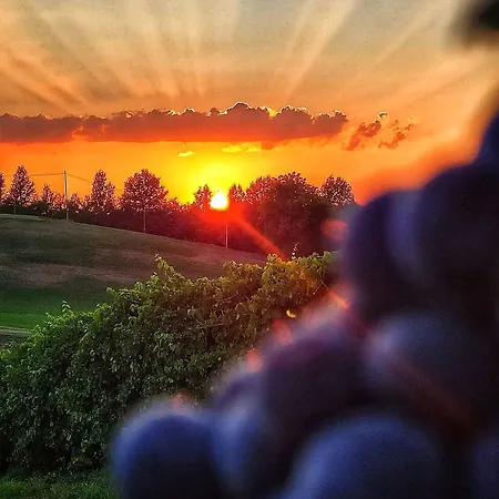 Lambrusco Monolocale Vicino Al Centro Di Universita E Policlinico 아파트