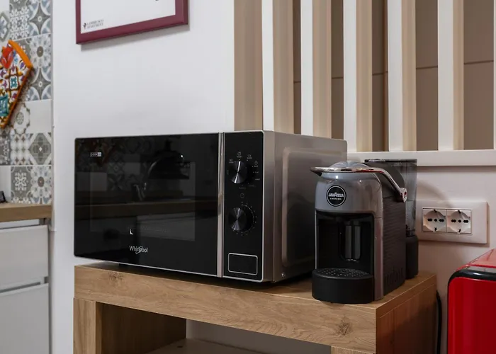 Lambrusco Monolocale Vicino Al Centro Di Universita E Policlinico * モデナ