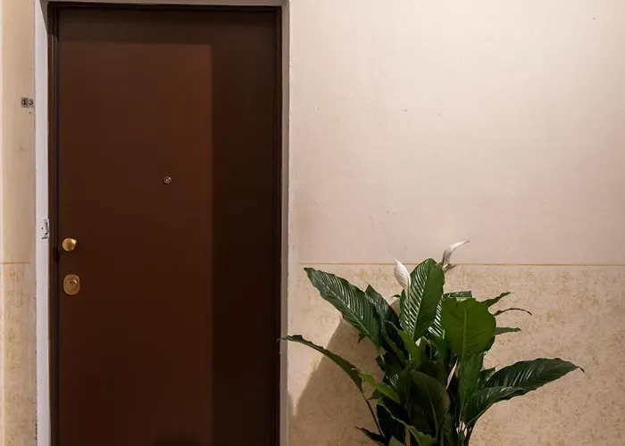 Lambrusco Monolocale Vicino Al Centro Di Universita E Policlinico