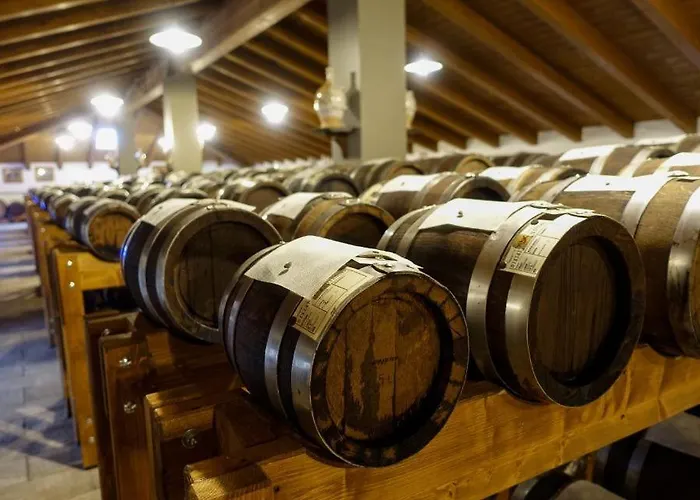 Lambrusco Monolocale Vicino Al Centro Di Universita E Policlinico * モデナ