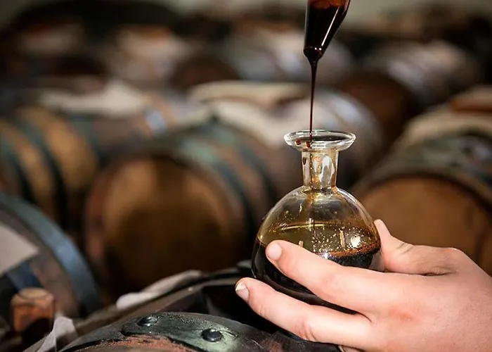 Lambrusco Monolocale Vicino Al Centro Di Universita E Policlinico アパート モデナ