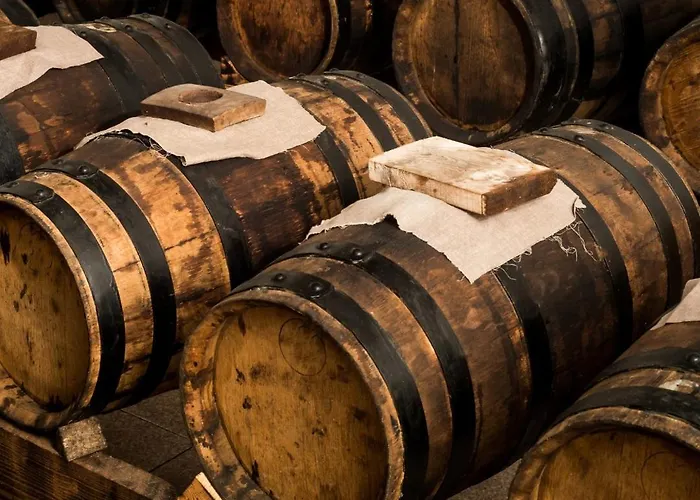 アパート Lambrusco Monolocale Vicino Al Centro Di Universita E Policlinico